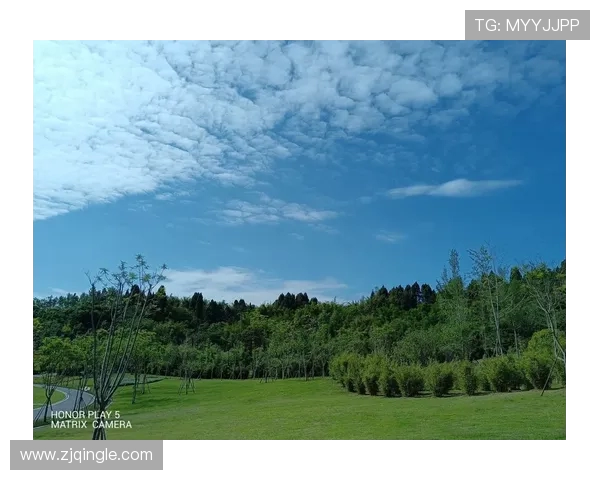 专访黄丽探讨王者荣耀成功背后的秘密与未来发展方向