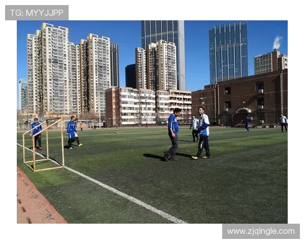 北京攀岩队技术对比深度解析与训练方法探讨