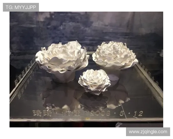 深度对话陈芳网球人生的追求与梦想探索之旅