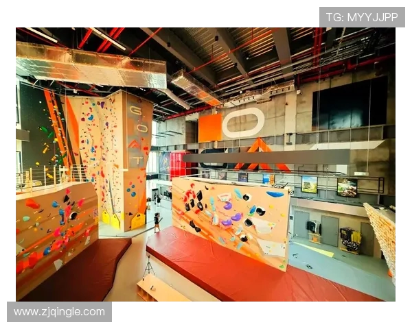 攀岩精神的力量：深入剖析上海攀岩队员的心理素质与挑战