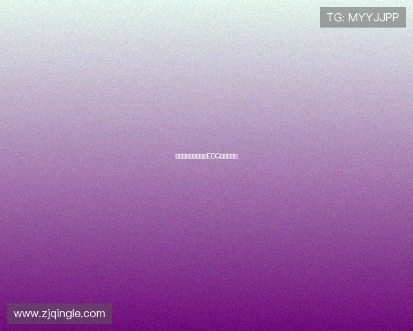 全明星赛特别报道：EDG的转型之路